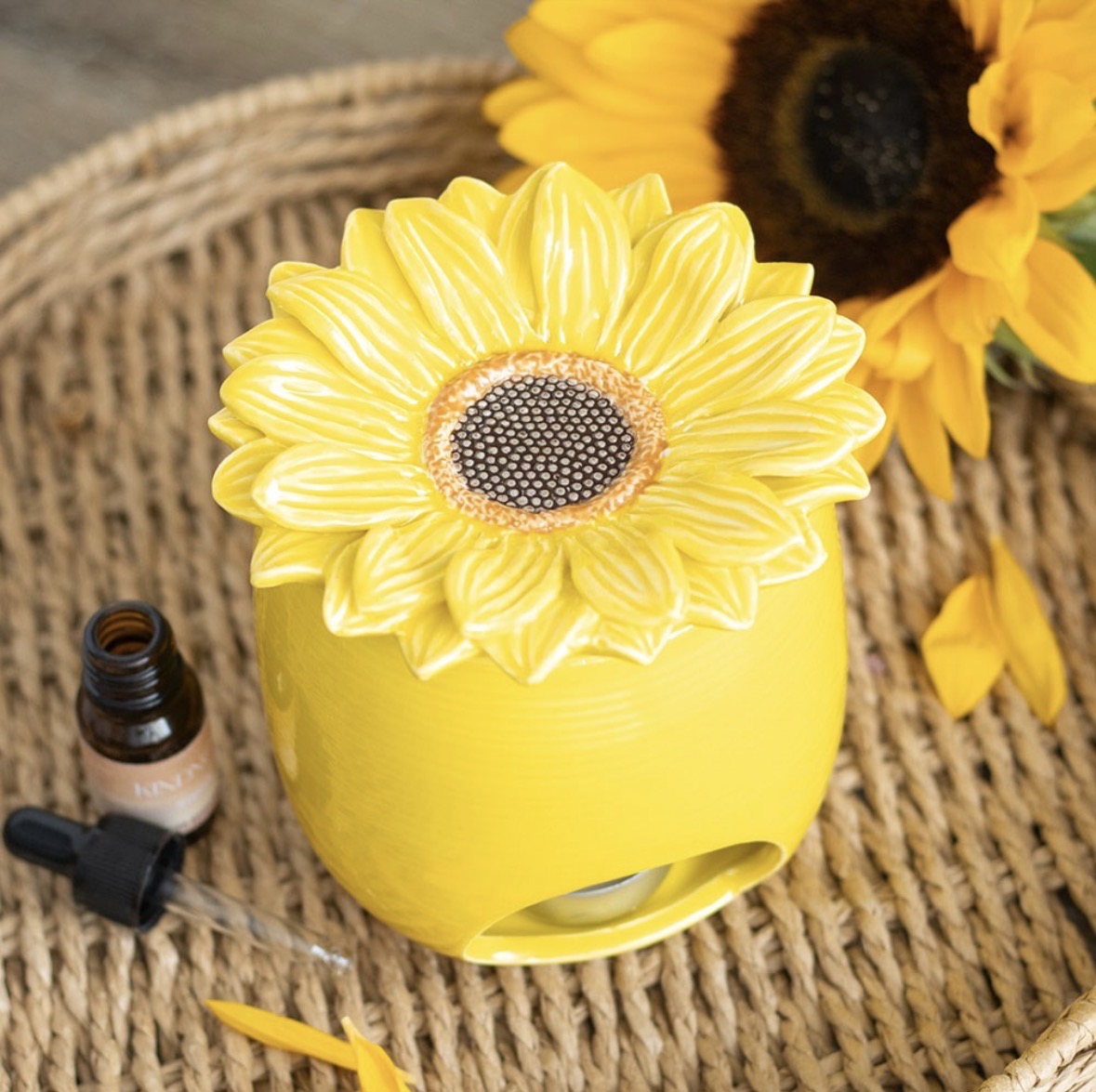 BRUCIATORE GIRASOLE